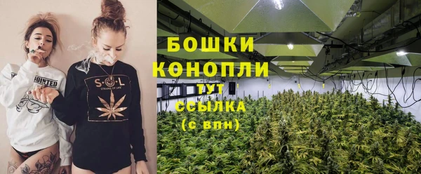 крисы Богданович