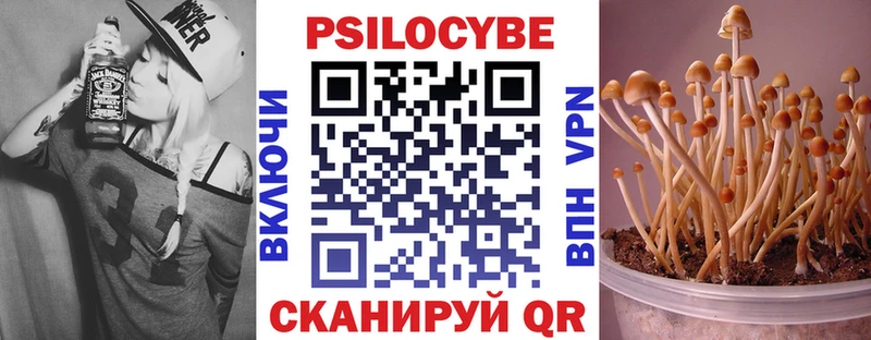 мега как войти  Отрадная  Галлюциногенные грибы мухоморы  где можно купить  